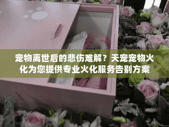 宠物离世后的悲伤难解？天宠宠物火化为您提供专业火化服务告别方案