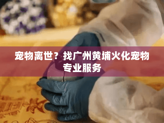 宠物离世？找广州黄埔火化宠物专业服务