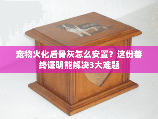 宠物火化后骨灰怎么安置？这份善终证明能解决3大难题
