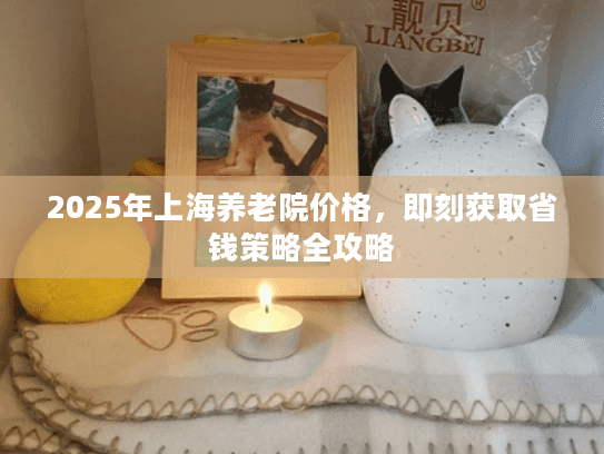 2025年上海养老院价格，即刻获取省钱策略全攻略