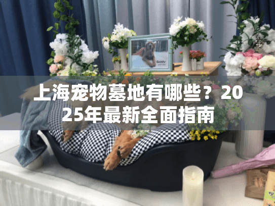 上海宠物墓地有哪些？2025年最新全面指南