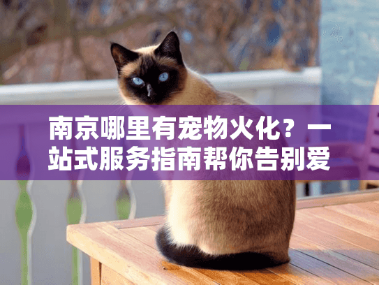 南京哪里有宠物火化？一站式服务指南帮你告别爱宠