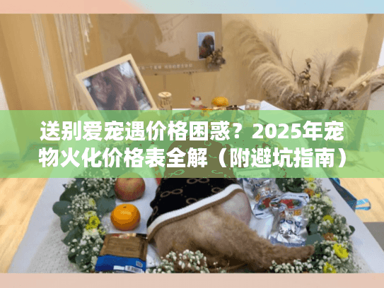 送别爱宠遇价格困惑？2025年宠物火化价格表全解（附避坑指南）