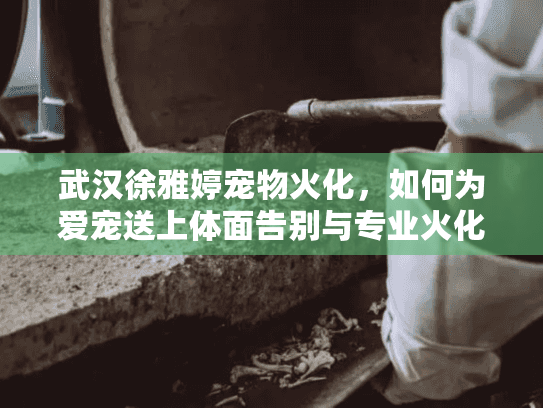 武汉徐雅婷宠物火化，如何为爱宠送上体面告别与专业火化服务?