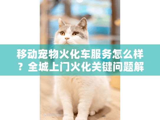 移动宠物火化车服务怎么样？全城上门火化关键问题解答