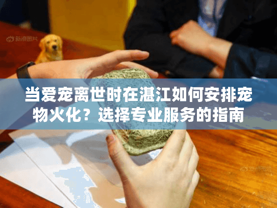 当爱宠离世时在湛江如何安排宠物火化？选择专业服务的指南