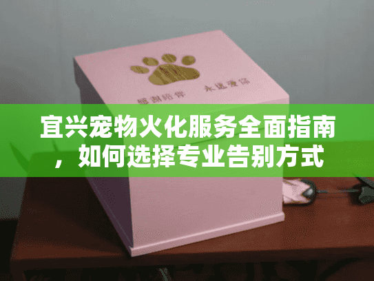 宜兴宠物火化服务全面指南，如何选择专业告别方式