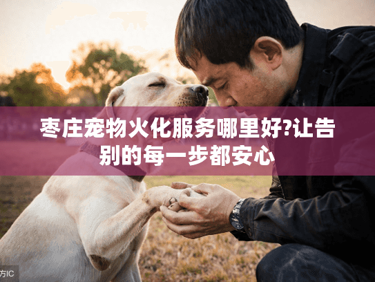 枣庄宠物火化服务哪里好?让告别的每一步都安心