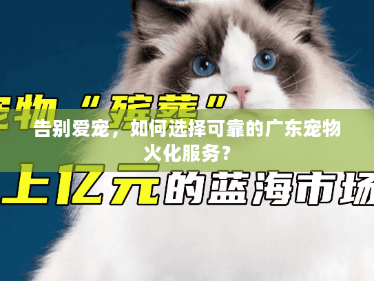 告别爱宠，如何选择可靠的广东宠物火化服务？