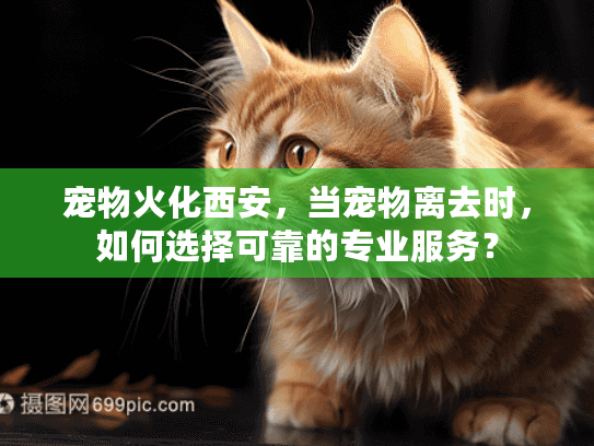 宠物火化西安，当宠物离去时，如何选择可靠的专业服务？