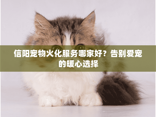 信阳宠物火化服务哪家好？告别爱宠的暖心选择