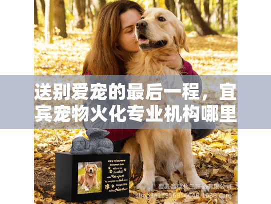 送别爱宠的最后一程，宜宾宠物火化专业机构哪里找？