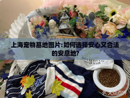 上海宠物墓地图片:如何选择安心又合法的安息地?