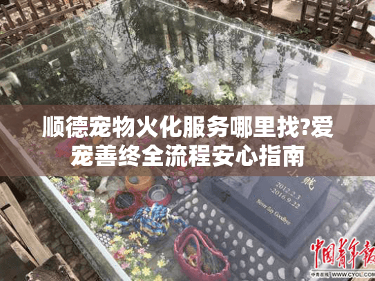 顺德宠物火化服务哪里找?爱宠善终全流程安心指南