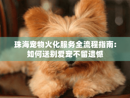 珠海宠物火化服务全流程指南:如何送别爱宠不留遗憾