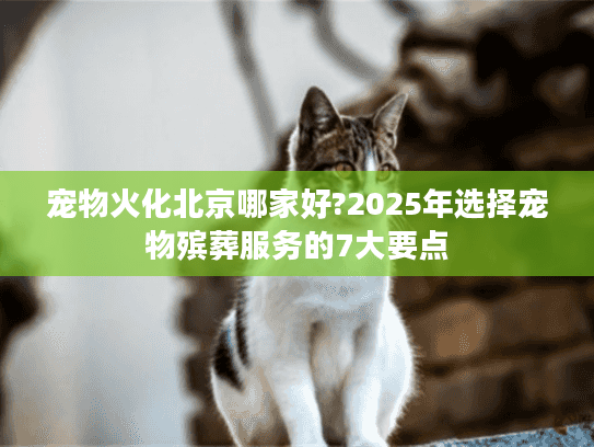 宠物火化北京哪家好?2025年选择宠物殡葬服务的7大要点