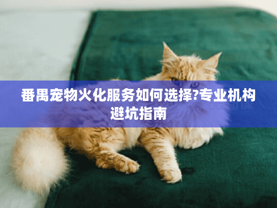番禺宠物火化服务如何选择?专业机构避坑指南