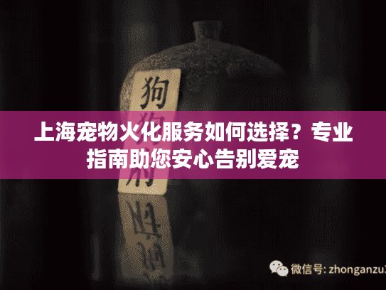 上海宠物火化服务如何选择？专业指南助您安心告别爱宠