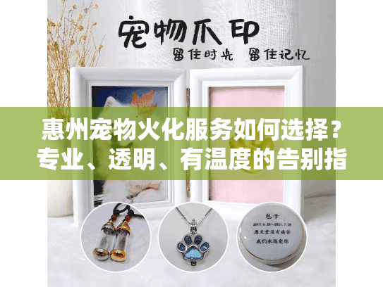 惠州宠物火化服务如何选择？专业、透明、有温度的告别指南