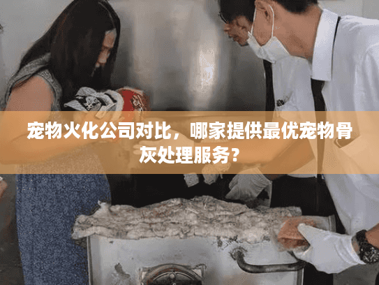 宠物火化公司对比，哪家提供最优宠物骨灰处理服务？