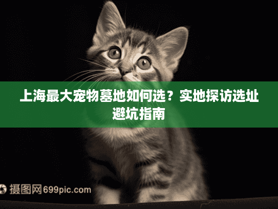 上海最大宠物墓地如何选？实地探访选址避坑指南