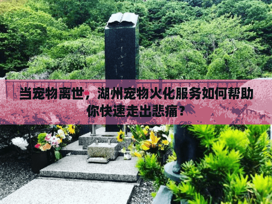 当宠物离世，湖州宠物火化服务如何帮助你快速走出悲痛？