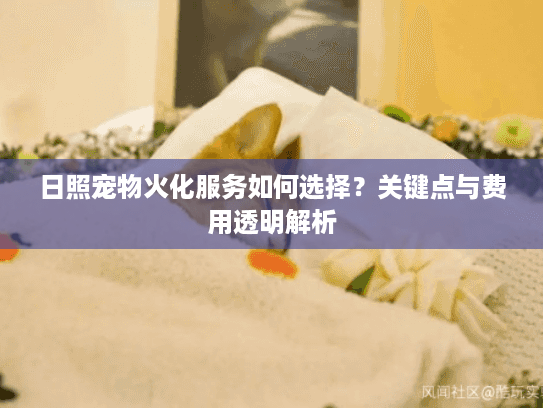 日照宠物火化服务如何选择？关键点与费用透明解析