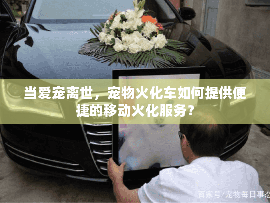 当爱宠离世，宠物火化车如何提供便捷的移动火化服务？