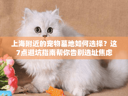 上海附近的宠物墓地如何选择？这7点避坑指南帮你告别选址焦虑