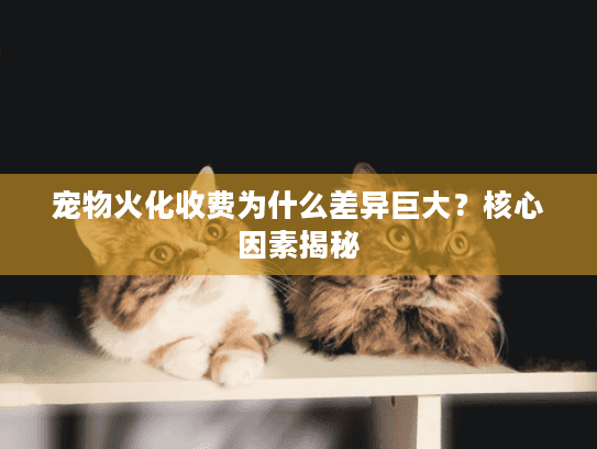 宠物火化收费为什么差异巨大？核心因素揭秘