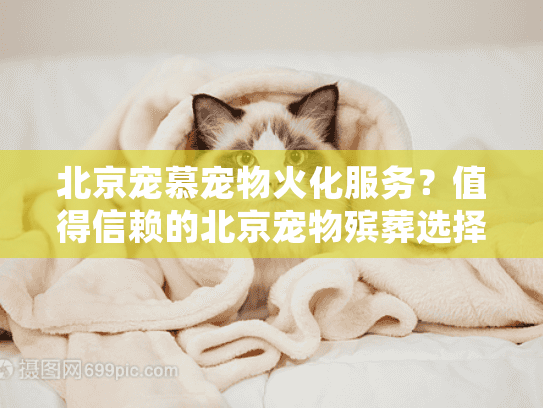 北京宠慕宠物火化服务？值得信赖的北京宠物殡葬选择吗？