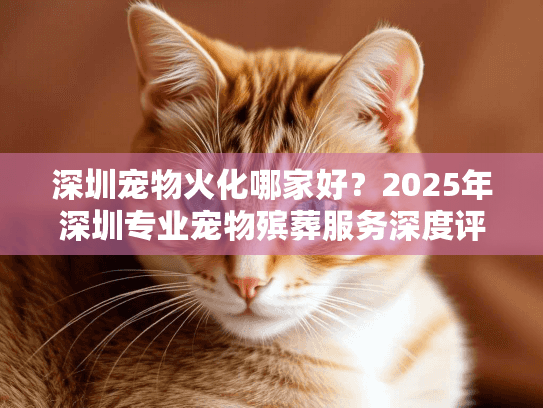 深圳宠物火化哪家好？2025年深圳专业宠物殡葬服务深度评测