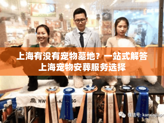 上海有没有宠物墓地？一站式解答上海宠物安葬服务选择