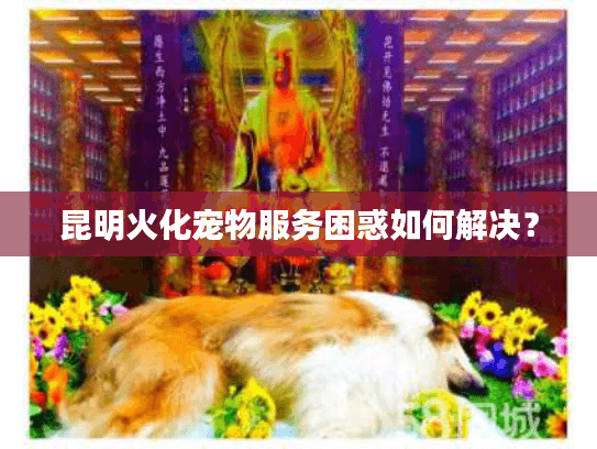 昆明火化宠物服务困惑如何解决？