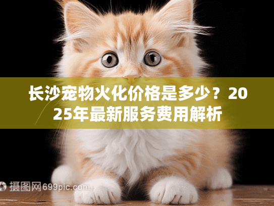 长沙宠物火化价格是多少？2025年最新服务费用解析