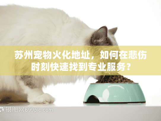 苏州宠物火化地址，如何在悲伤时刻快速找到专业服务？