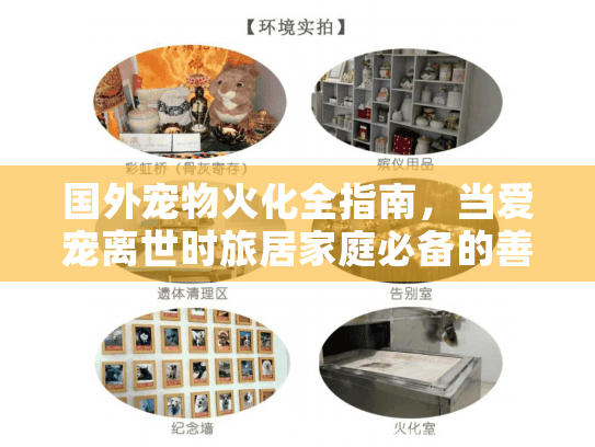 国外宠物火化全指南，当爱宠离世时旅居家庭必备的善后方案