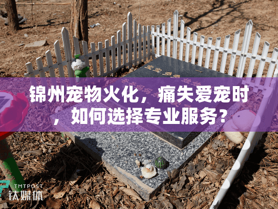 锦州宠物火化，痛失爱宠时，如何选择专业服务？