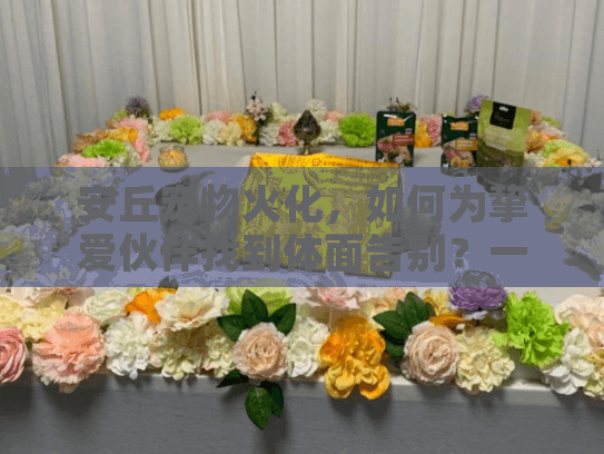安丘宠物火化，如何为挚爱伙伴找到体面告别？一个实用解决方案指南
