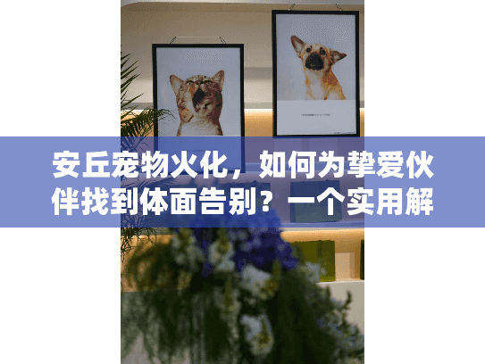 安丘宠物火化，如何为挚爱伙伴找到体面告别？一个实用解决方案指南