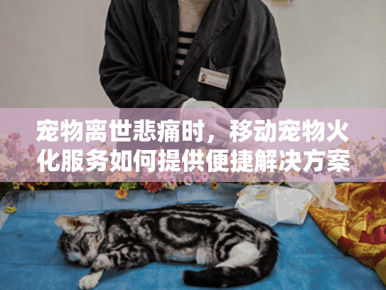 宠物离世悲痛时，移动宠物火化服务如何提供便捷解决方案？