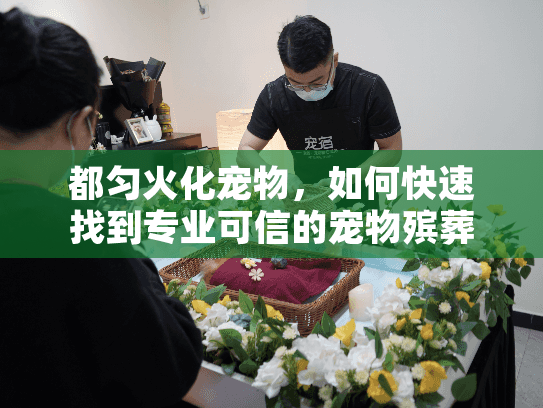 都匀火化宠物，如何快速找到专业可信的宠物殡葬服务？