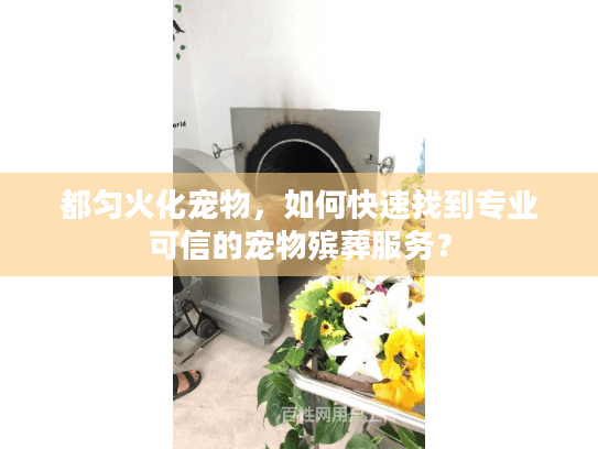 都匀火化宠物，如何快速找到专业可信的宠物殡葬服务？
