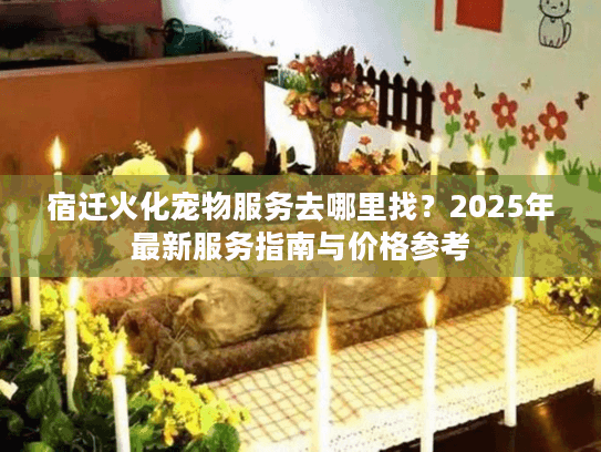 宿迁火化宠物服务去哪里找？2025年最新服务指南与价格参考