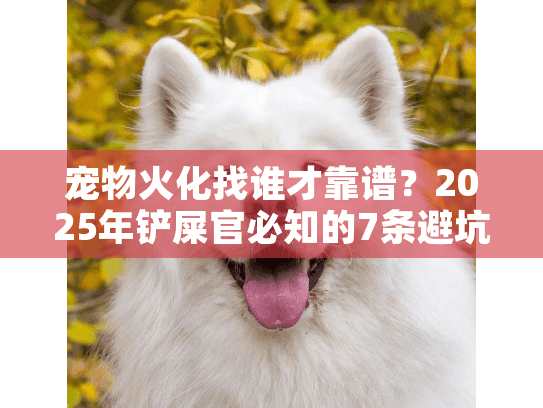 宠物火化找谁才靠谱？2025年铲屎官必知的7条避坑指南