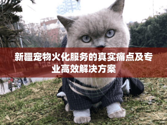 新疆宠物火化服务的真实痛点及专业高效解决方案