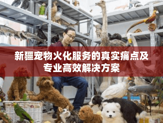 新疆宠物火化服务的真实痛点及专业高效解决方案