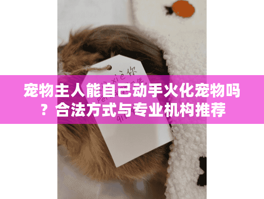 宠物主人能自己动手火化宠物吗？合法方式与专业机构推荐