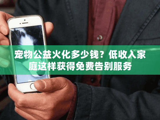 宠物公益火化多少钱？低收入家庭这样获得免费告别服务