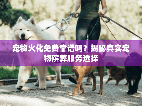 宠物火化免费靠谱吗？揭秘真实宠物殡葬服务选择